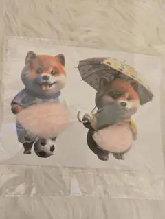 aki＊様 リクエスト 2点 まとめ商品