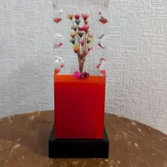 ウサギノネドコ・sola cube木製フレーム入り 植物標本 3連キューブ