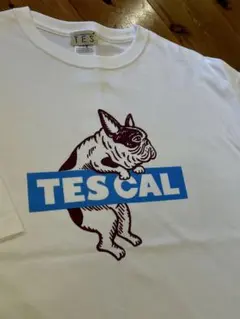 未着用 TEs フレブルTシャツsize Mのサムネイル