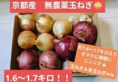 無農薬栽培！新玉ねぎセット！！のサムネイル