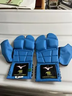 Item thumbnail for item a5eefee0-7237-4f0d-a616-107d05766381