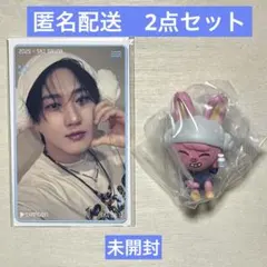 チャンビン トレカ サウナ POPUP 購入特典　DWAEKKI フィギュア