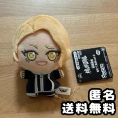桃源暗鬼 ちびぐるみ vol.2 漣水鶏