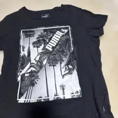 PUMA プーマ Tシャツ ブラック パームツリー柄