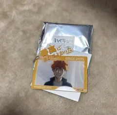 ハイキュー 名言アクリルキーホルダー 日向翔陽