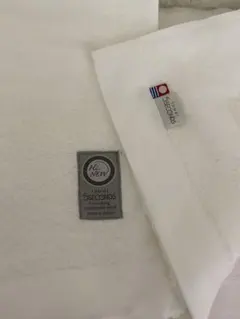 Item thumbnail for item 9bdc0e0c-5f2e-4177-a3e1-e756e5055620