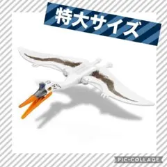 Item thumbnail for item b4df1627-17bb-49ee-ad3a-bf9e9462388c