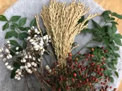 Item thumbnail for item efa4e93b-451a-4475-9128-d26553f12434