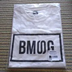 Item thumbnail for item 78c5725b-7716-46c4-9e30-d1e68a9afb70