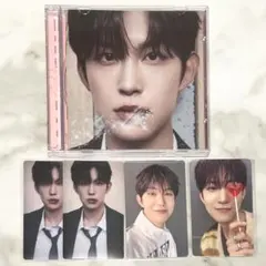 ゴヌ ALPHA DRIVE ONE ALD1 ショケ