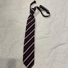 Item thumbnail for item 66ca95c9-b264-4b3c-b574-8fe2843731b0