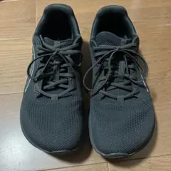 Item thumbnail for item 607706ae-7eac-4a1e-bfe9-65abed4ceda4