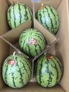農家直送❗️熊本県産大玉スイカ羅王ザスイート - メルカリ