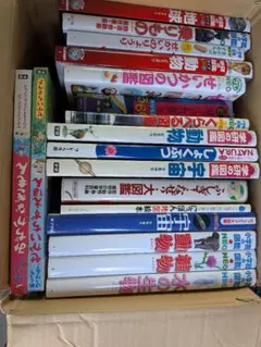 図鑑・絵本18冊セット　小学館NEO　学研　重複あり