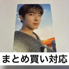 SEVENTEEN セブチ ウォヌ トレカ DICON