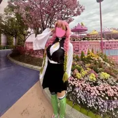 ゴーヤ様 専用 甘露寺蜜璃 コスプレ衣装 - メルカリ