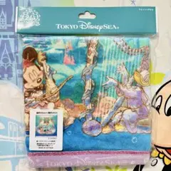 ディズニーシー⭐️24周年 ウォッシュタオル ミニタオル