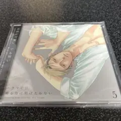 希少 ヒメヒナ 提灯暗航 鼻ちょうちん盤 Vtuber CD アニメ ゲーム