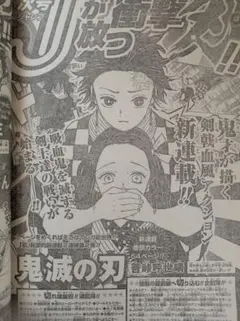 鬼滅の刃 5巻 三省堂書店 特典 イラストペーパー 竈門炭治郎 冨岡義勇 鬼滅の刃 5巻 三省堂書店 特典 イラストペーパー 竈門炭治郎 冨岡義勇