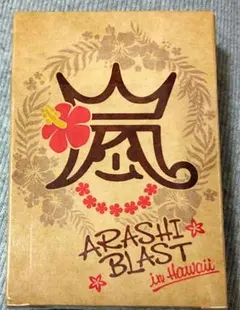 【未使用】【嵐】ARASHI BLAST in HAWAII トランプ
