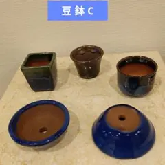 2025年最新】豆盆栽鉢の人気アイテム - メルカリ