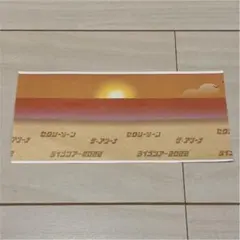 SexyZone ザ・アリーナ セクゾ　チケット　半券