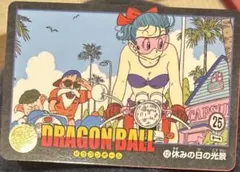 ドラゴンボール カードダス ビジュアルアドベンチャー No.13 今日はお