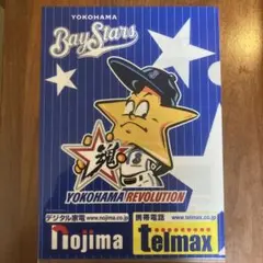 横浜ベイスターズ　ホッシー　クリアファイル