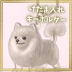 さら様専用★再入荷　ポメラニアン　キーホルダー　犬 　 メモリアル　けだまだま