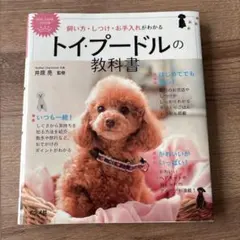 Item thumbnail for item 1e5ad212-bb32-4eb6-8362-7ef7a4526f40