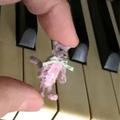 モールの猫ちゃん　モールベア