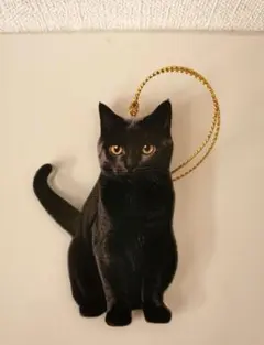 Item thumbnail for item 055fa6ac-4d09-459b-840c-cced4941c498