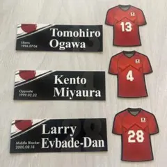 Item thumbnail for item 417f489c-d0b8-4a3f-b349-bade85055881