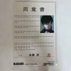 ありす様 リクエスト 2点 まとめ商品