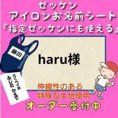 haru様 ゼッケン　お名前シール　体操着袋　名前シール　ネームタグ　入園グッズ
