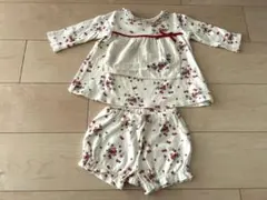 イチゴ　セットアップ