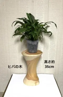 Item thumbnail for item a274e46f-29a6-42d3-9d36-a6fa82cddfc0