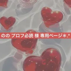 ＊のの プロフ必読様 専用ページ＊