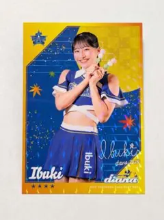 2026年最新】DIANA ベイスターズの人気アイテム - メルカリ