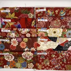 和柄 赤系 はぎれセット10柄