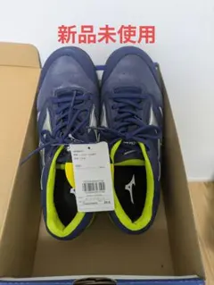 即日発送】新品 ミズノ安全靴25.0cmEEE幅広オールマイティLSII22L