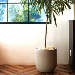 2025年最新】konton 鉢の人気アイテム - メルカリ