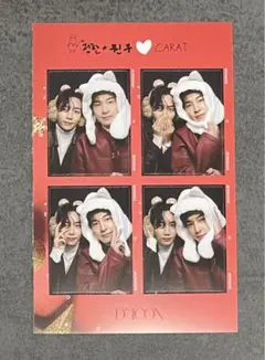 【ジョンハン ウォヌ】seventeen dicon A 4カット ステッカー⑩