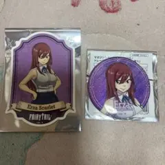 FAIRY TAIL ドンキホーテ マガジンショップ エルザ グリッター缶バッジ