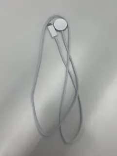 Apple Watch 充電ケーブル type-C