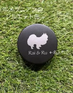 Item thumbnail for item ba192b18-f880-4c1f-b0f4-1d018a3a5ff1