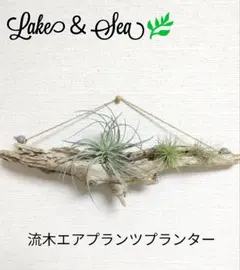 Item thumbnail for item a97e6e12-f25f-4fa6-bf21-943a520e7af8