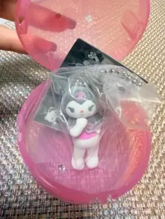 サンリオ　ミニチュアチャーム　ライブキャラクター