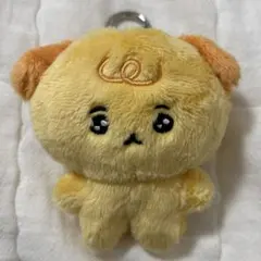 チェゴシム いぬゴシム マスコット ぬいぐるみ 赤ちゃん