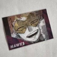 僕のヒーローアカデミア ヒロアカ ホークス 剛翼クッキー マボロシカード